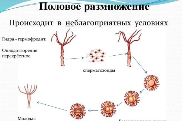 Ссылка кракен зеркало тор