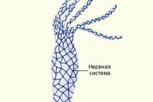 Взломали кракен аунтификатор